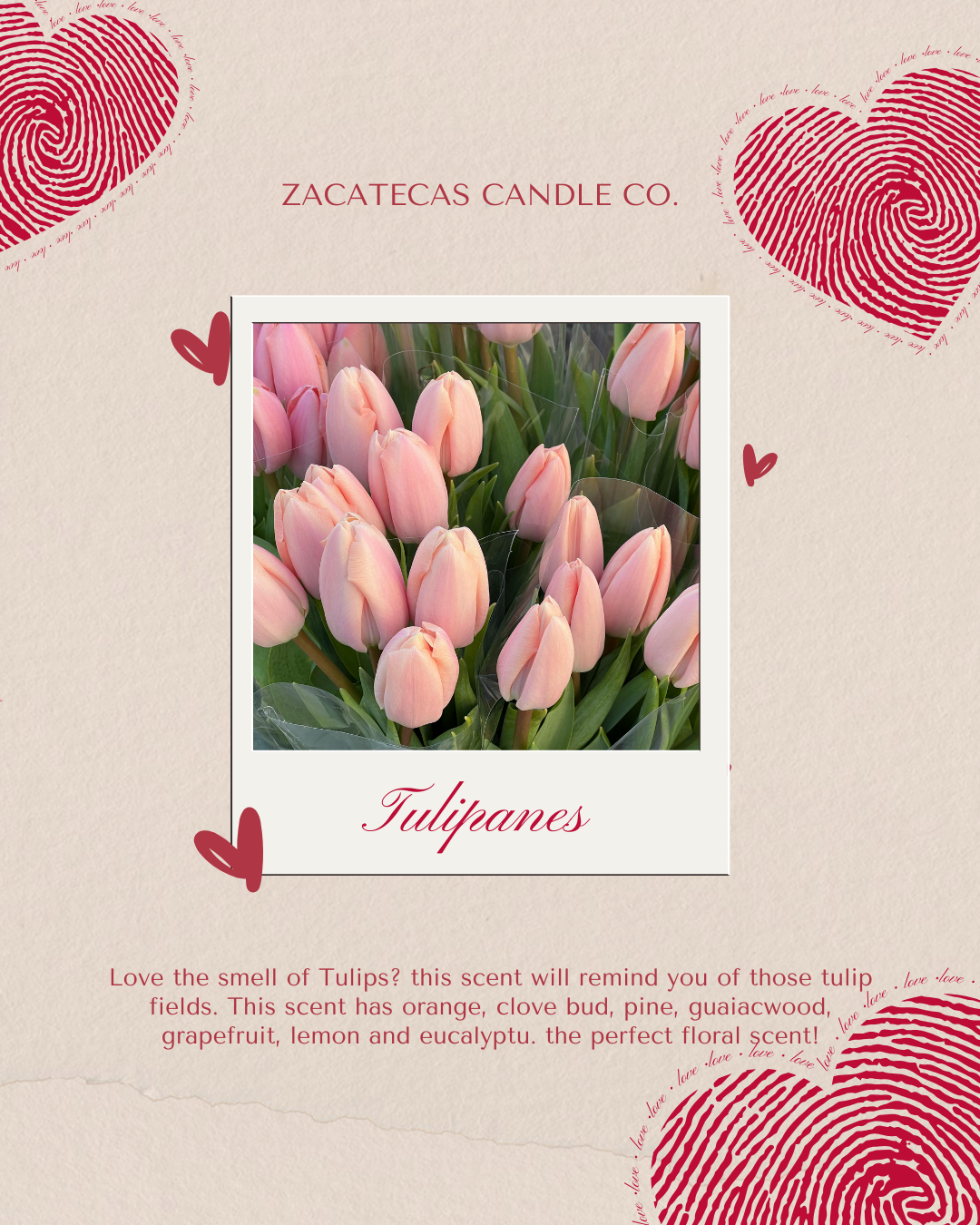 Tulipanes Taza