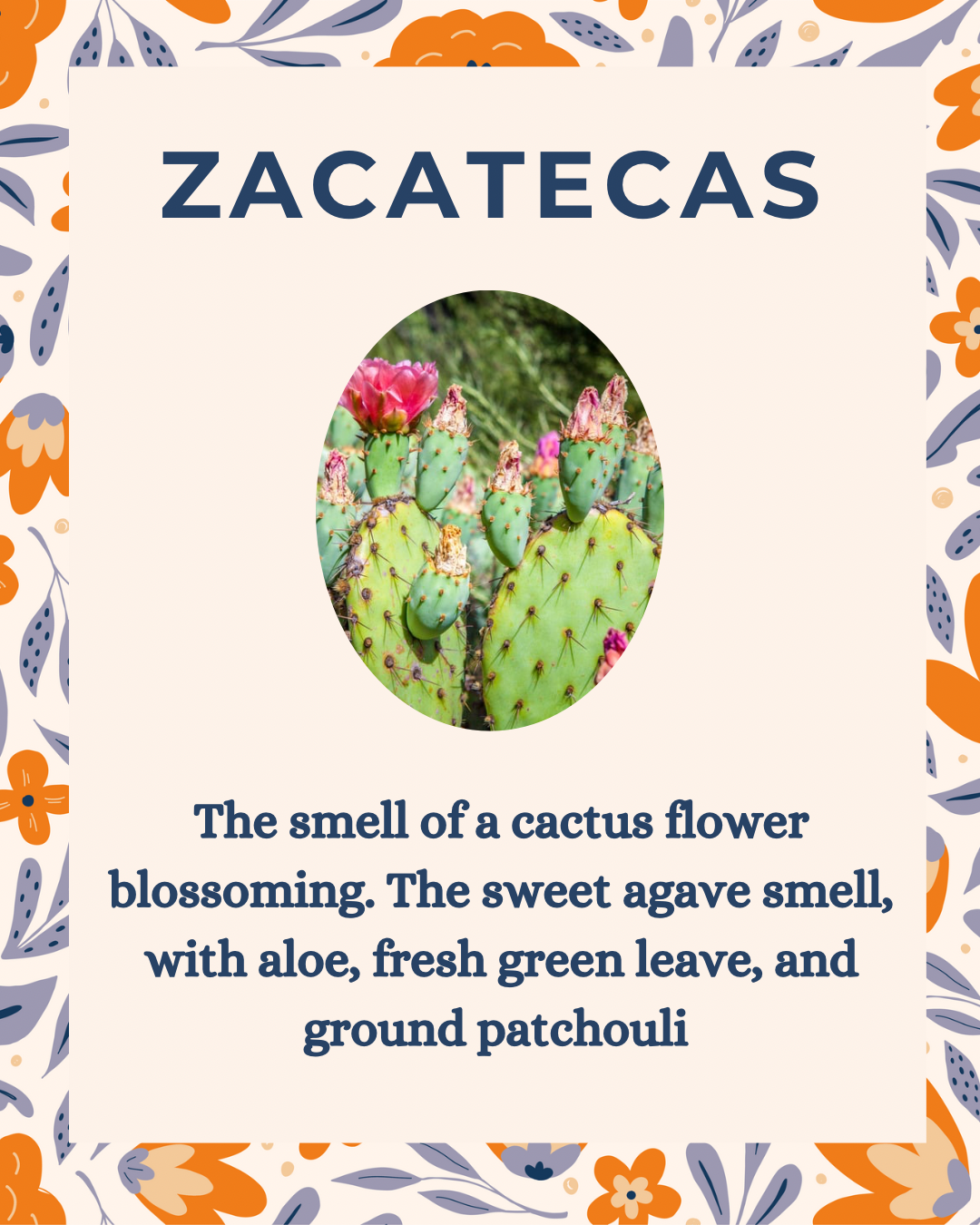 Zacatecas Taza