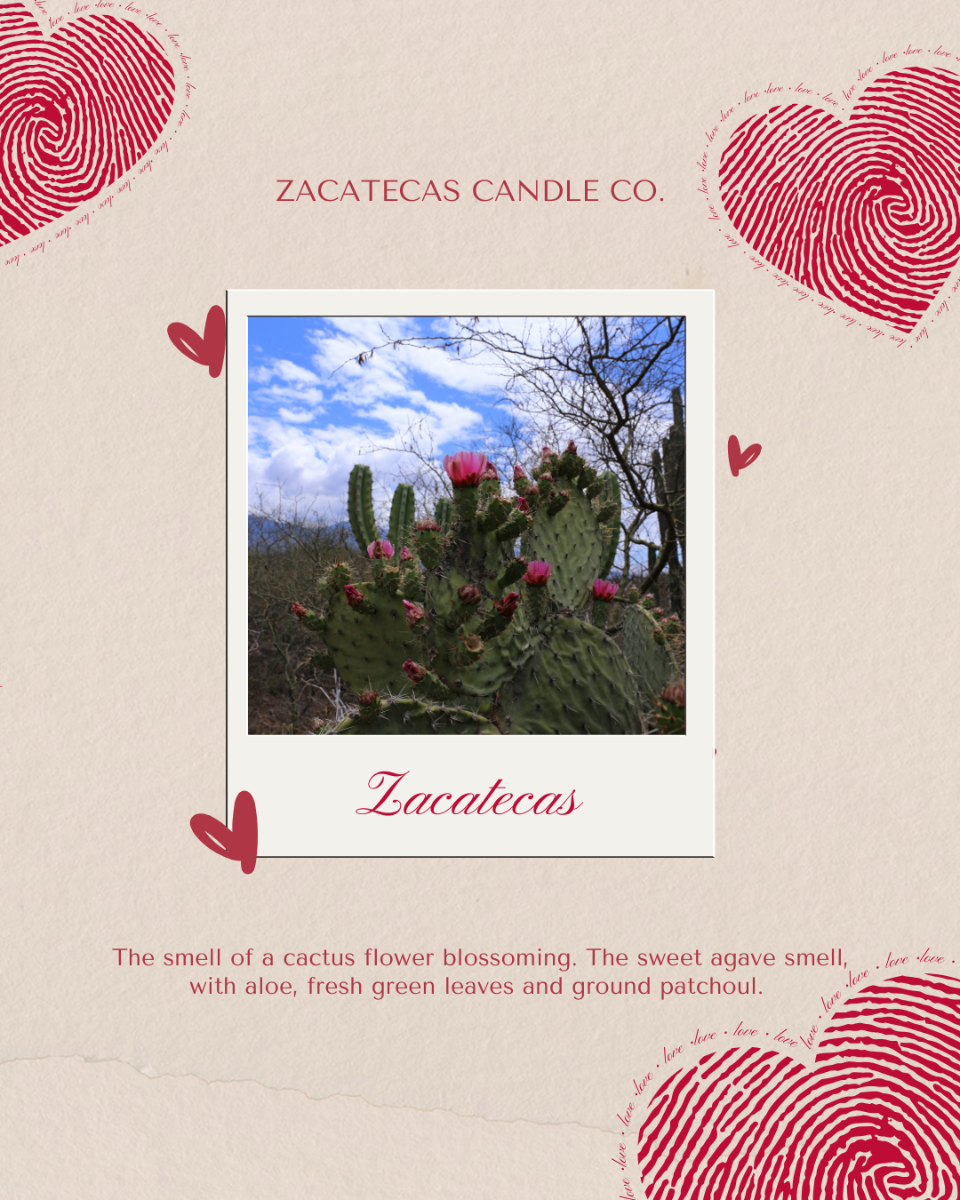 Zacatecas Taza